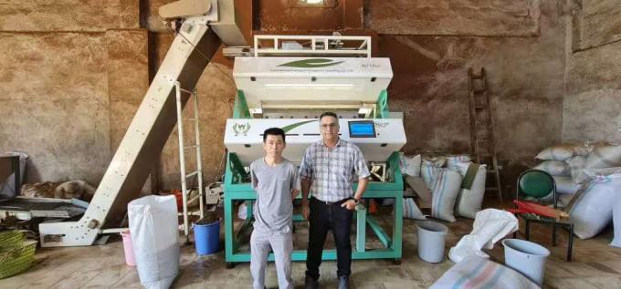 1200mm Belt Waterproof Stainless Steel Olive Color Sorting Machine Frozen Strawberry Color Sorter 14