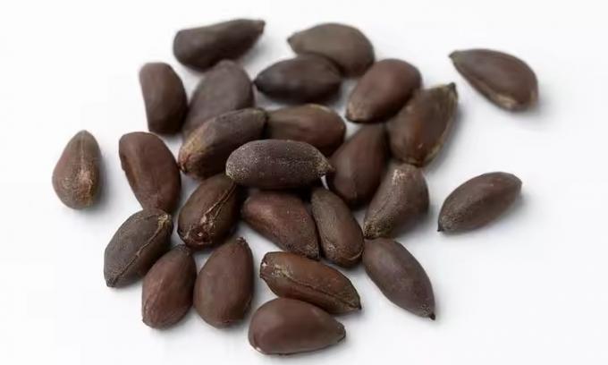 Wenyao Professional Optical Sesame Color Sorter Cotton Seeds Color Sorter Sorting Machine Price 11