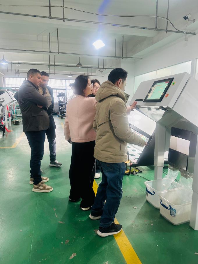 WENYAO 2025 New Product Launch 304/316L  High Accuracy CCD Rock Salt Particles Color Sorter 9