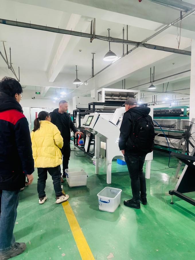 WENYAO 2025 New Product Launch 304/316L  High Accuracy CCD Rock Salt Particles Color Sorter 10