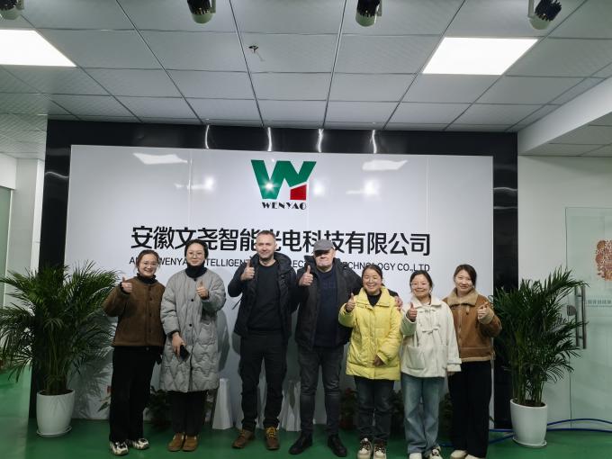 WENYAO 2025 New Product Launch 304/316L  High Accuracy CCD Rock Salt Particles Color Sorter 13