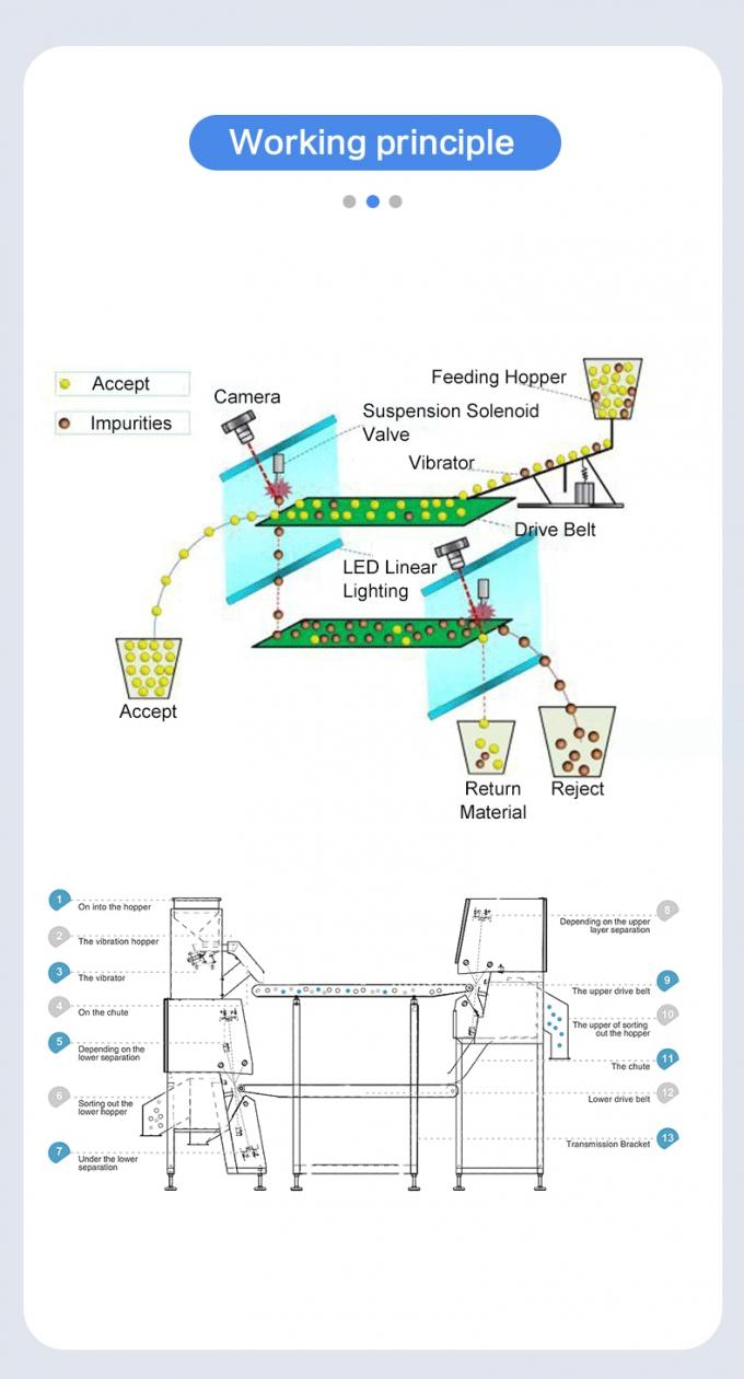 WENYAO Macadamia Nuts Belt Type Sorting Machine Color Sorter Automatic Optical Sorting Machine 6