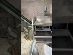 Soybean color sorter