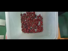 red jujube