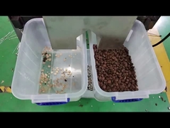 sacha inchi color sorter