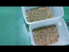cardamom color sorter
