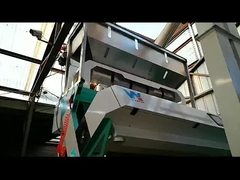 Broad bean color sorter