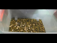 pistachio color sorter