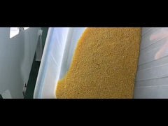 corn grits color sorter