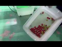Tomato color sorter machine