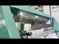 White bean color sorter