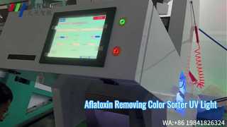 UV Light Technology Nutmeg Color Sorter Remove Aflatoxin