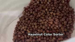 WYCS2-128 Hazelnut Color Sorter | Premium Nut Sorting Machine for Georgia Market 