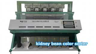 Kidney Bean Color Sorter