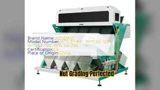 Nut Sorter 4000kg/hr 999 Accuracy