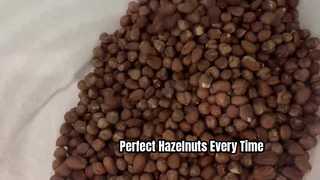 Hazelnut Color Sorter
